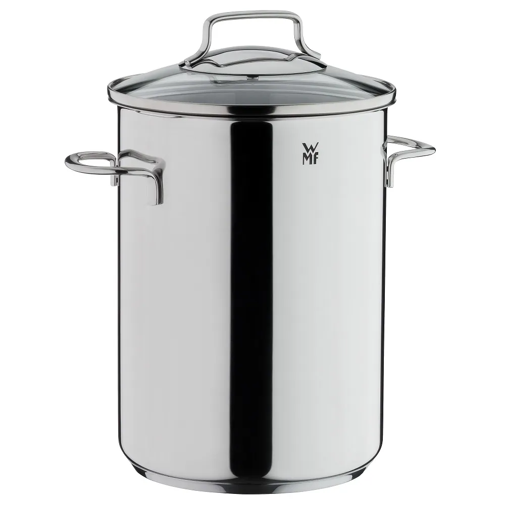 WMF Spargeltopf mit Drahteinsatz Ø 16 cm