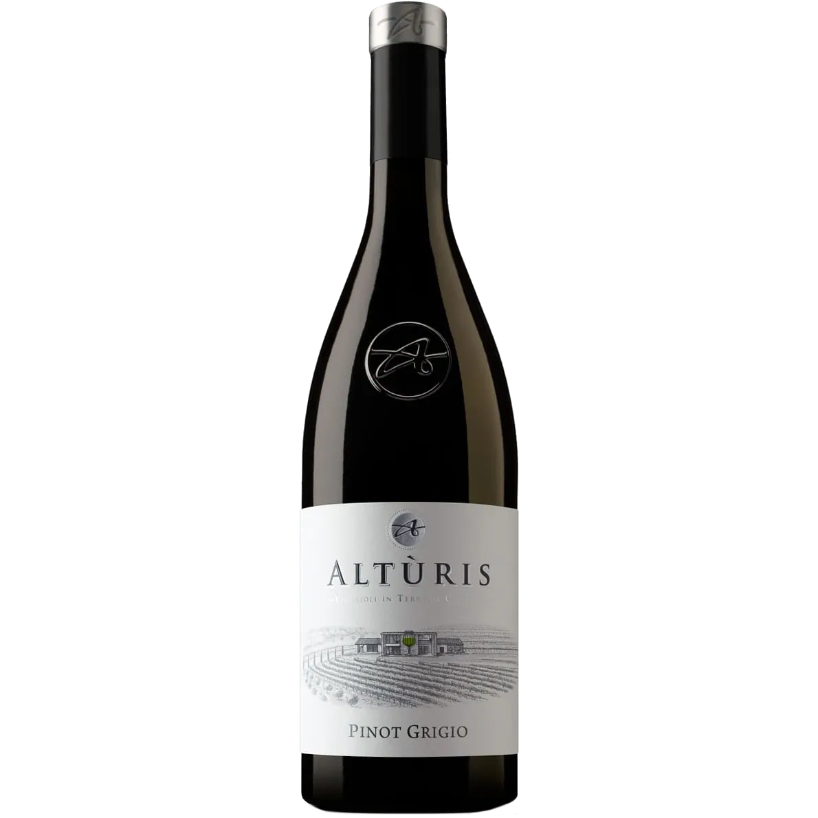 Altùris Pinot Grigio DOP 2024