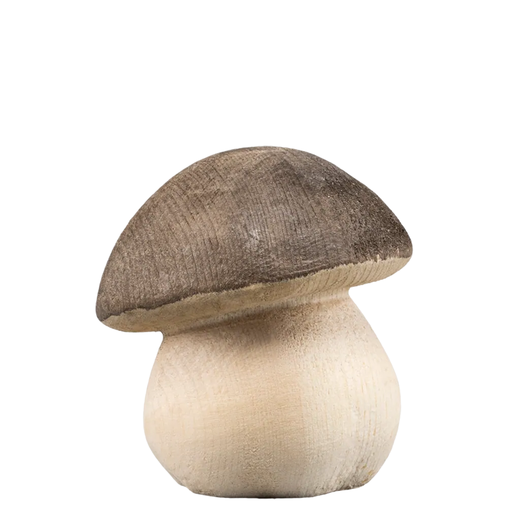 STEINPILZ gebeizt 6 cm