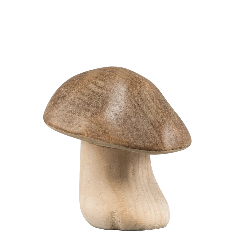 STEINPILZ gebeizt schräger Kopf 8 cm