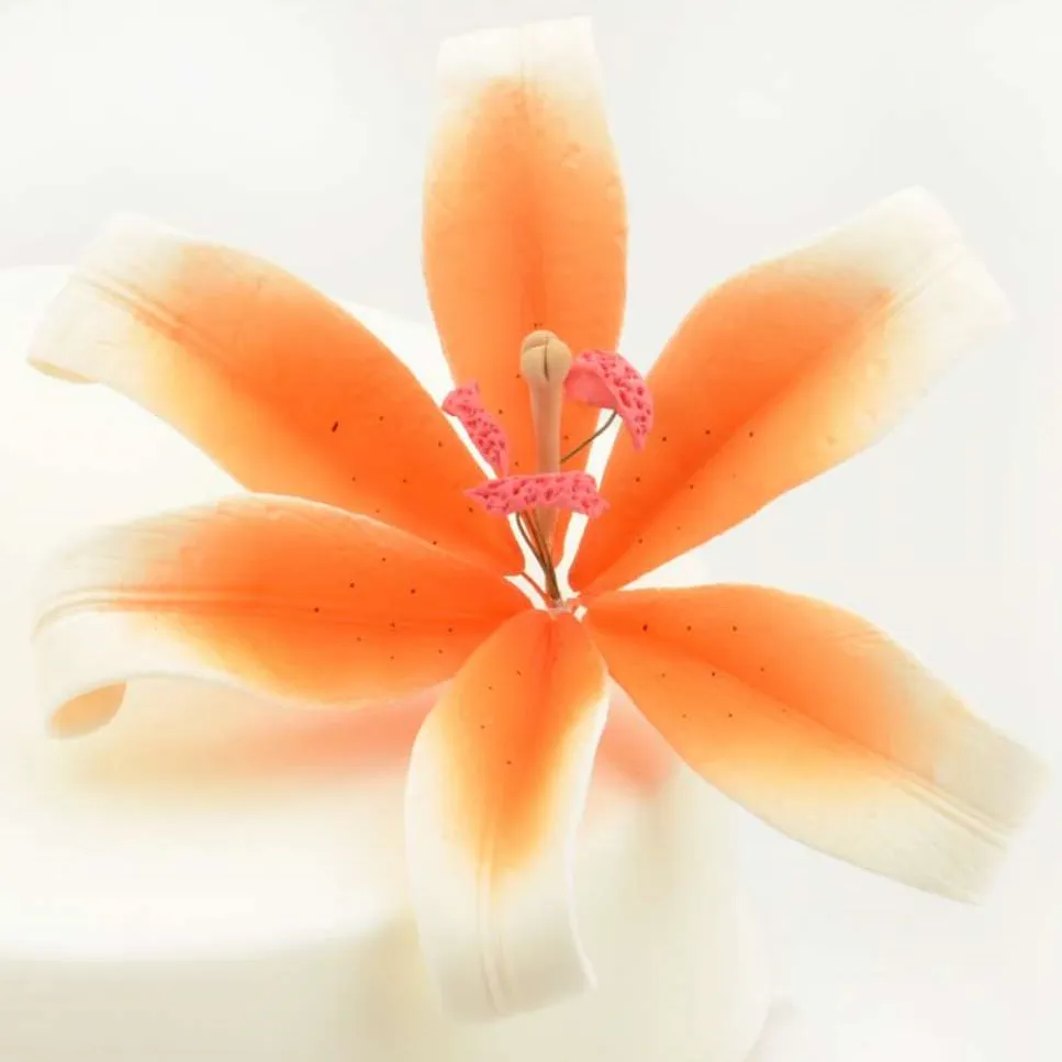 Feinzucker Blüte Lily white orange spray 12,7cm