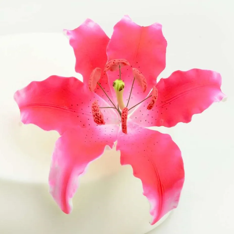 Feinzucker Blüte Lily dark pink spray 12,7cm