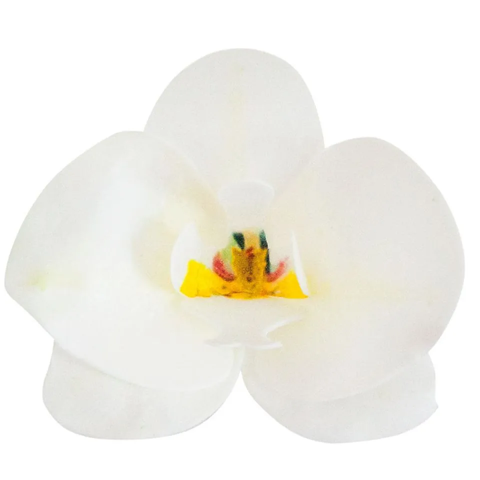Wafer-Paper Orchidee weiß 7,5-8,5cm 10 Stück
