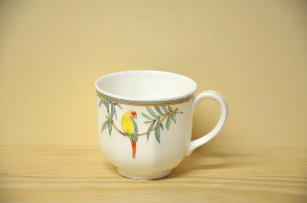 Villeroy & Boch Amazona Espressotasse