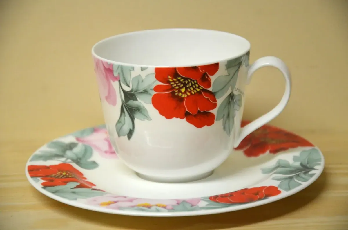 Hutschenreuther Scarlet Kaffeegedeck