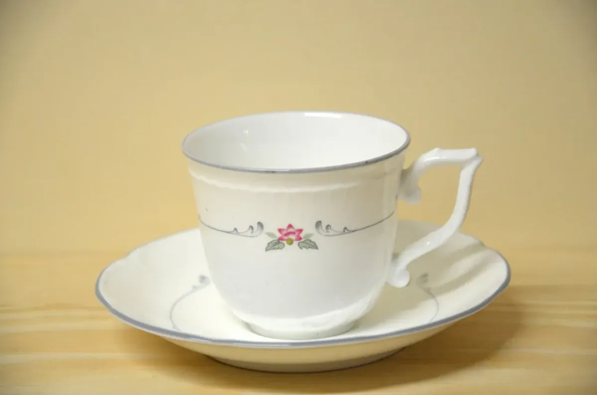 Villeroy & Boch Collier Mocca / Espressotassen NEU