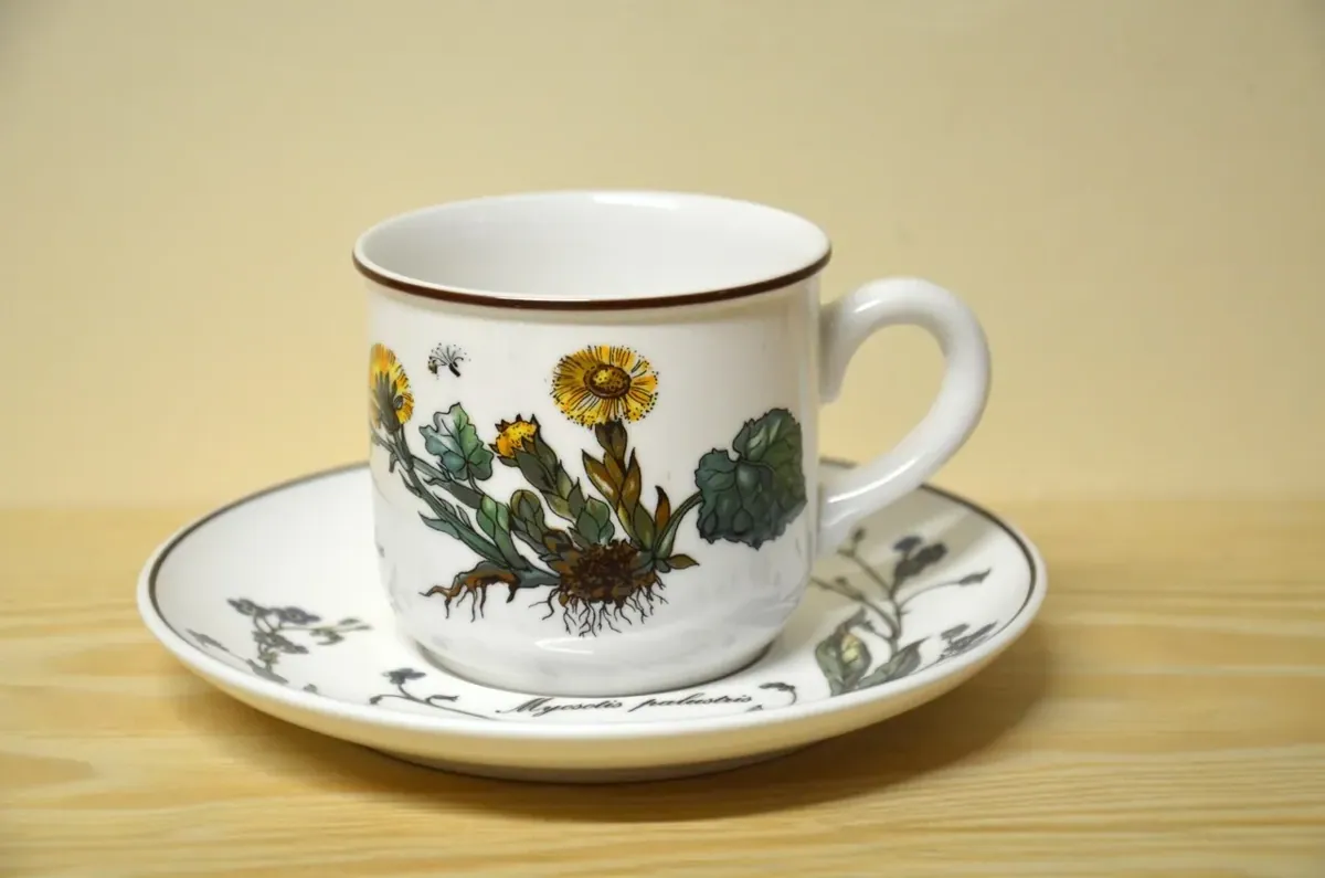 Villeroy & Boch Botanica Kaffeegedeck