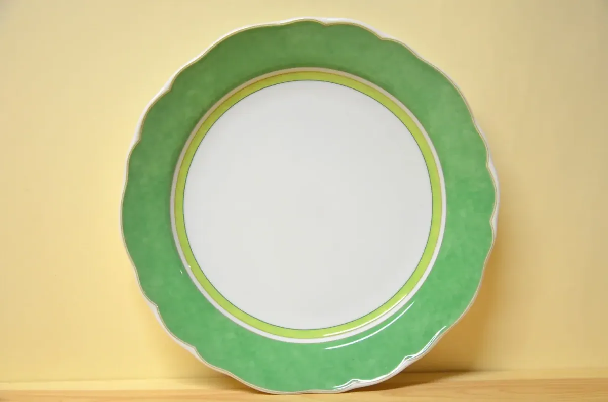 Hutschenreuther Summerdream Green Speiseteller  NEU