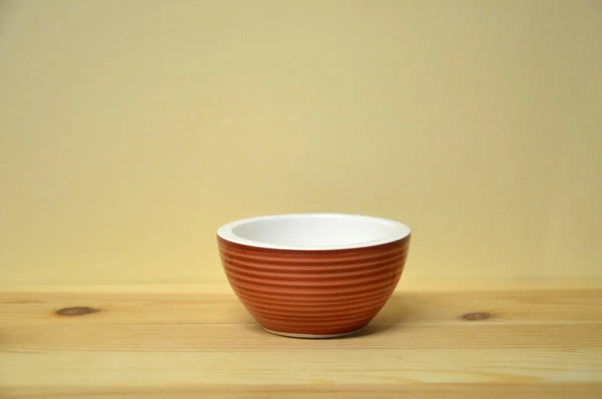 Villeroy & Boch Manufacture Rouge Dipschälchen NEU