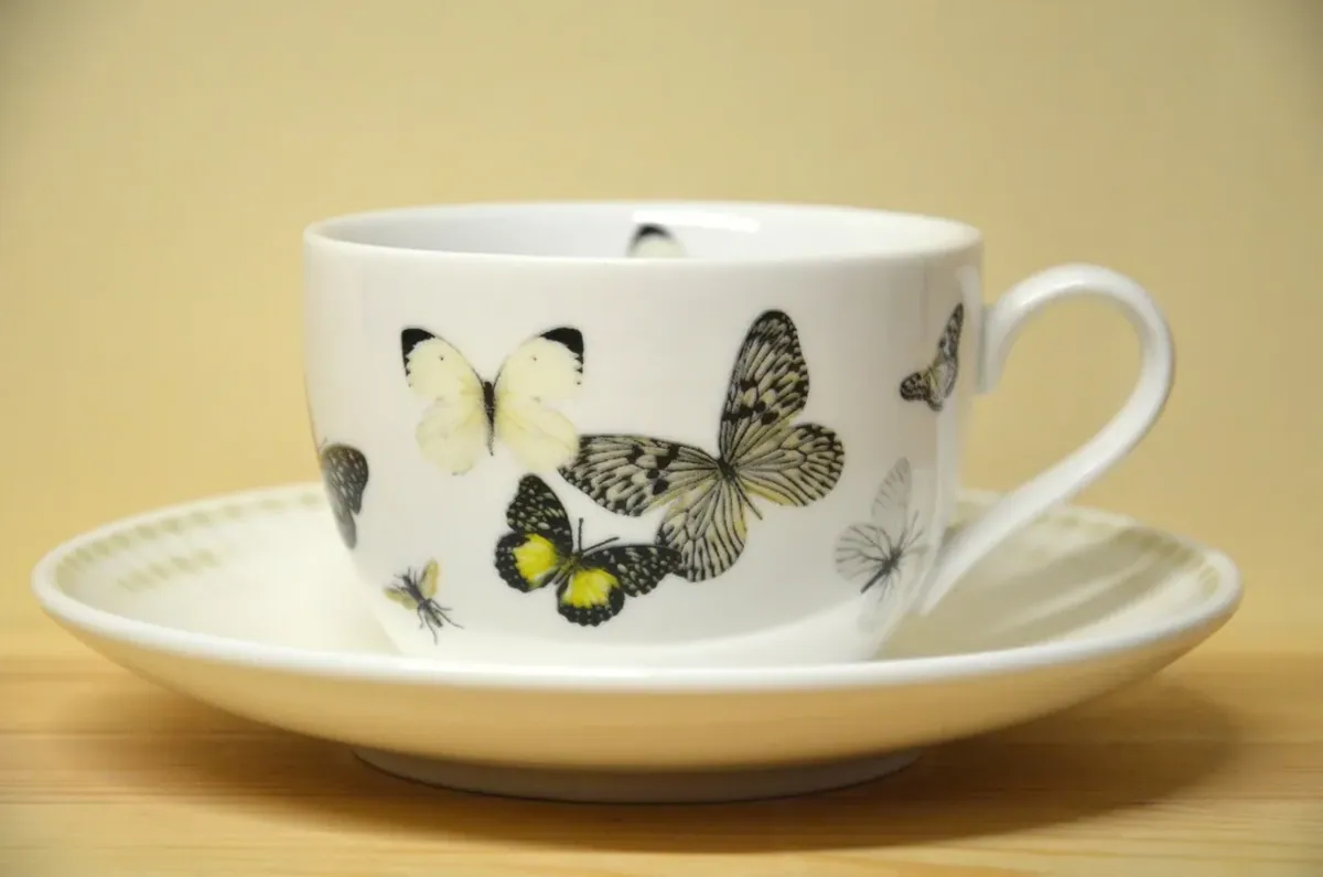 Hutschenreuther Lots of Stripes Butterfly Cappucciontasse mit Untere NEU