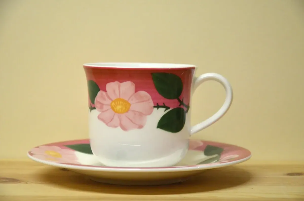 Villeroy & Boch Rose Sauvage Framboise (Wildrose) Kaffeegedeck 2-teilig NEU