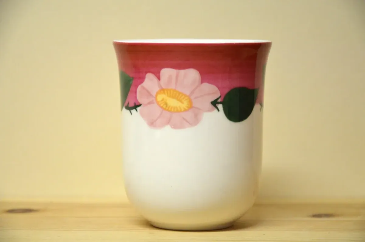 Villeroy & Boch Rose Sauvage Framboise (Wildrose) Becher NEU