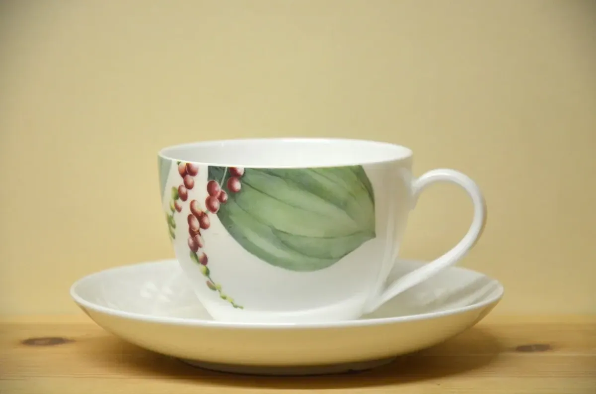 Villeroy & Boch Malindi Kaffeegedeck Neu