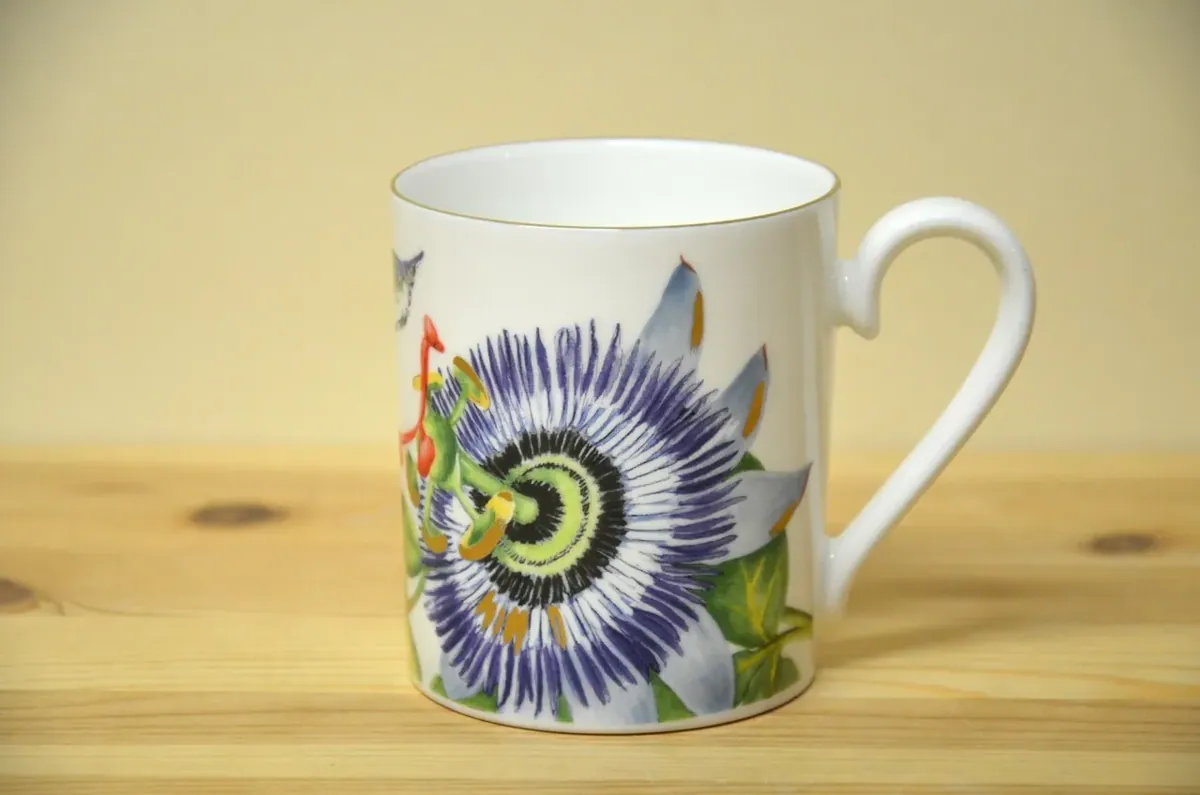 Villeroy & Boch Amazonia Becher mit Henkel