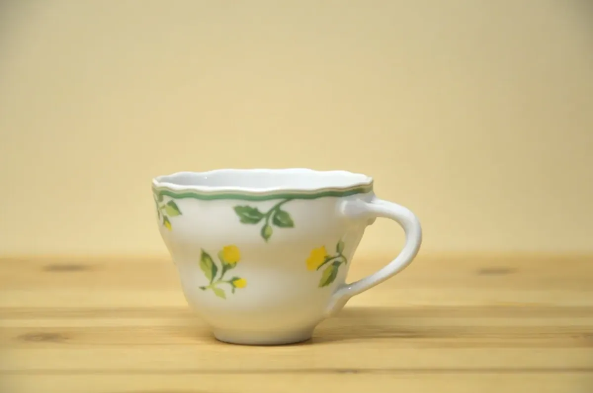 Hutschenreuther Summerdream Expressotasse