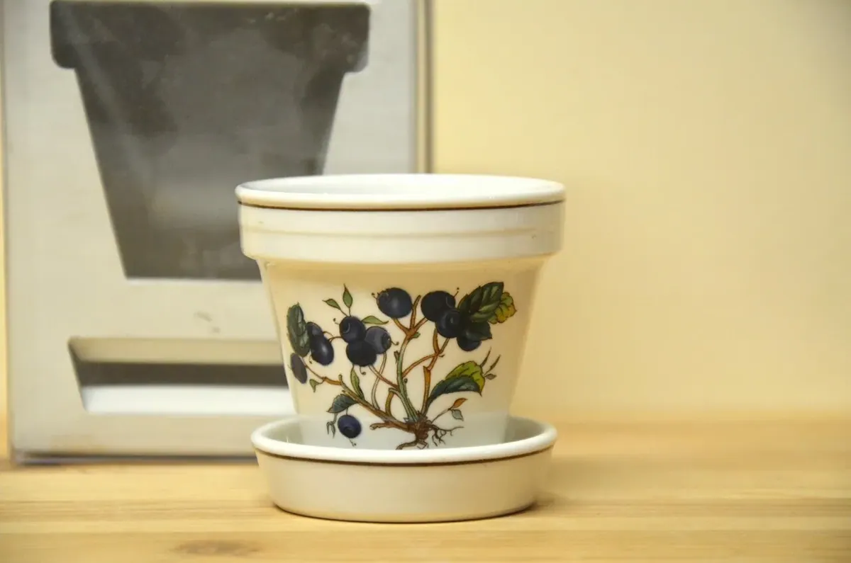 Villeroy & Boch Botanica Blumenübertopf NEU