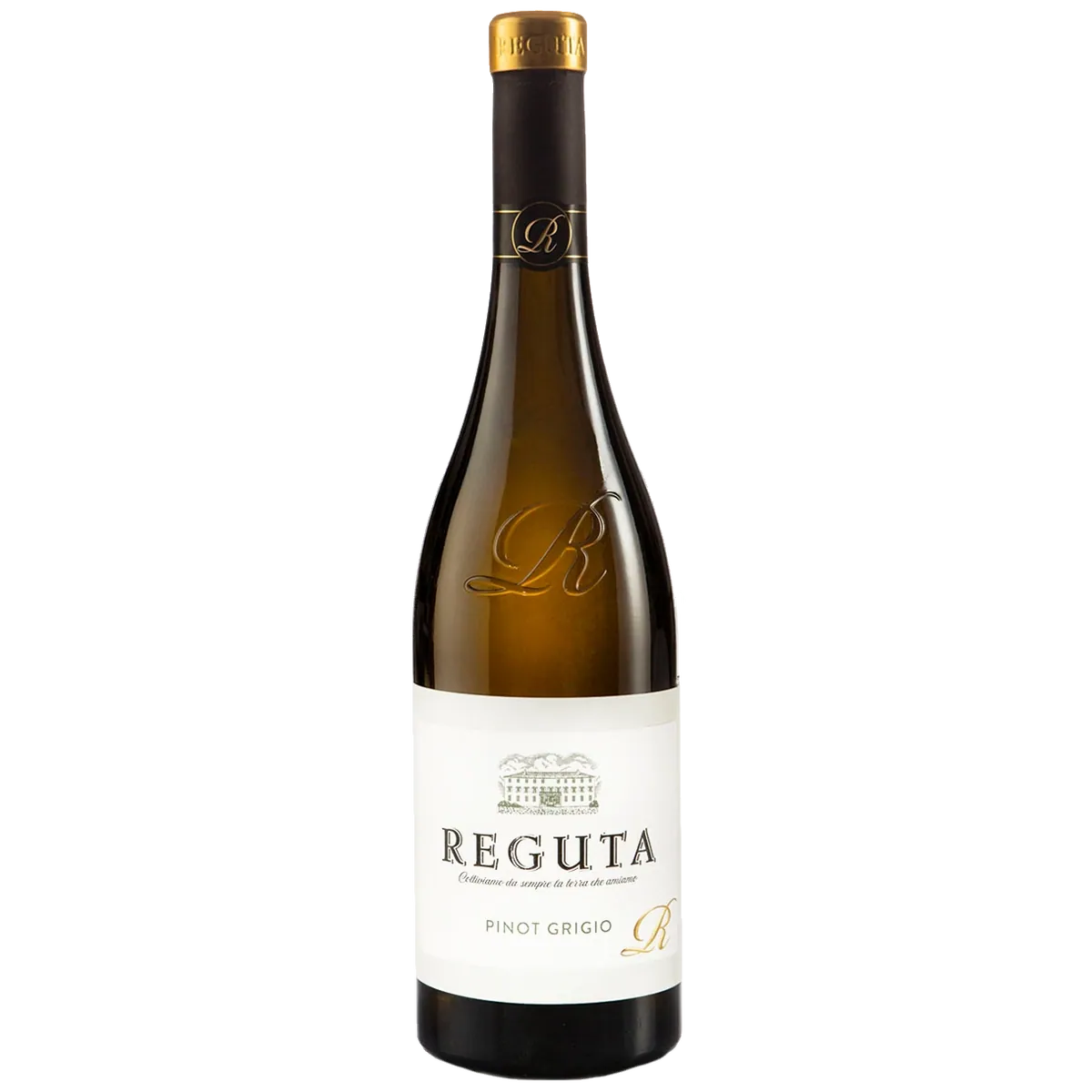 Reguta Pinot Grigio delle Venezie DOP 2023