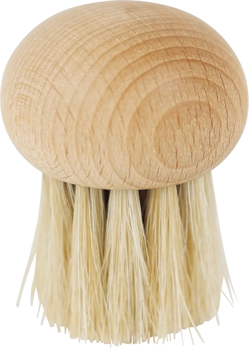 Champignonbürste