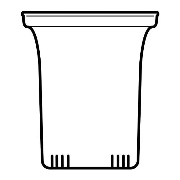 Trendglas JENA Glasfilter groß