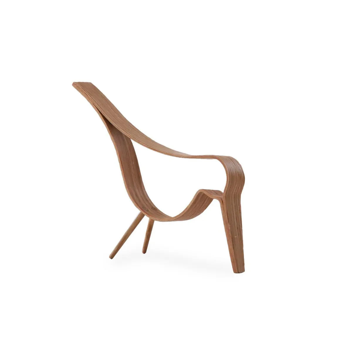 Woody Bird Oak M COOEE