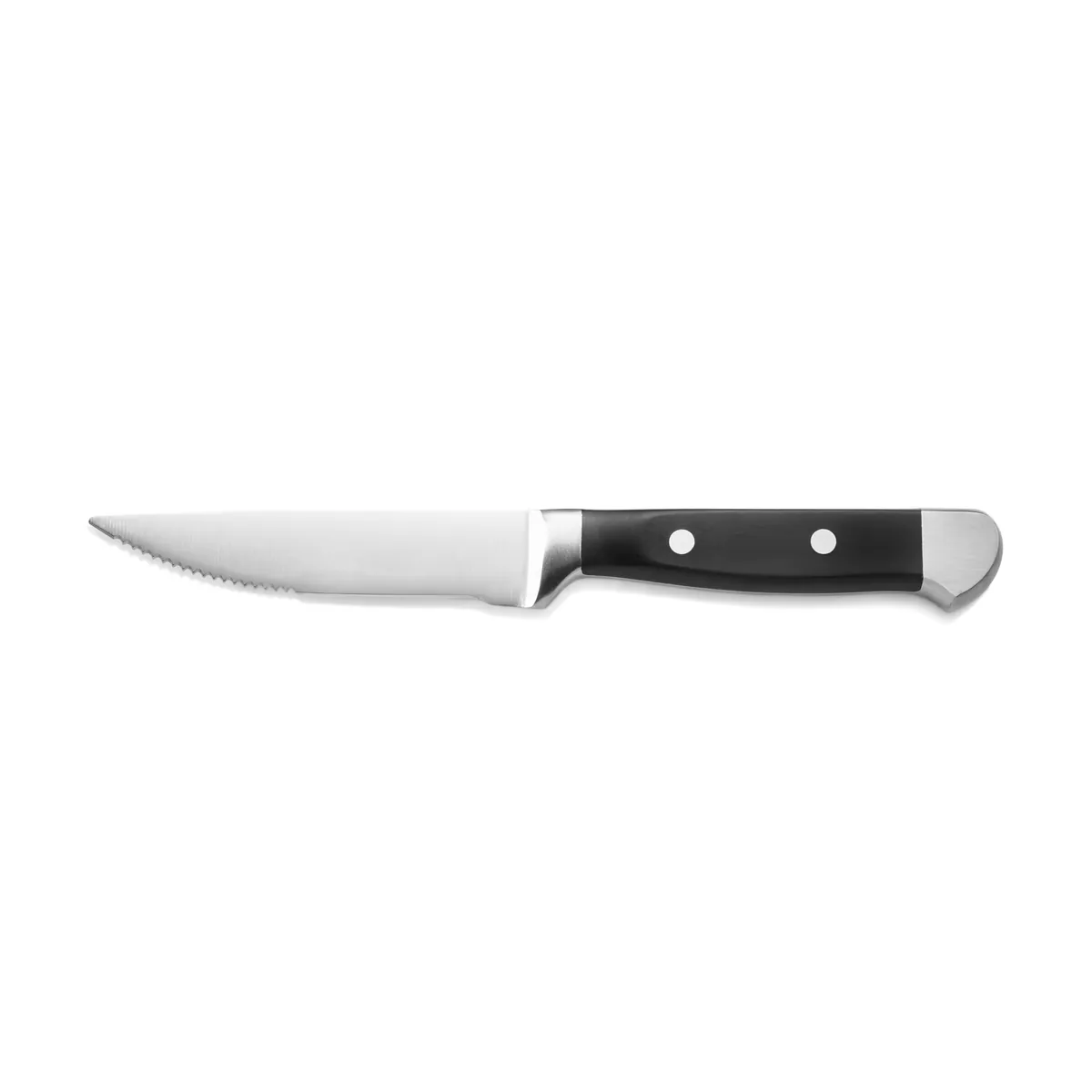 Steakmesser 6er-Set mit POM Kunststoffgriff, 25,5 cm, Polyoxymethylen, Chromstahl 13/0