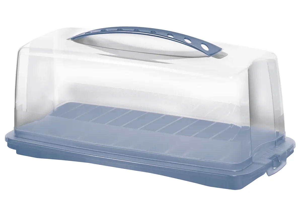 Rotho Kuchenbutler Kuchenbehälter Fresh 36x16,5x16,5cm
