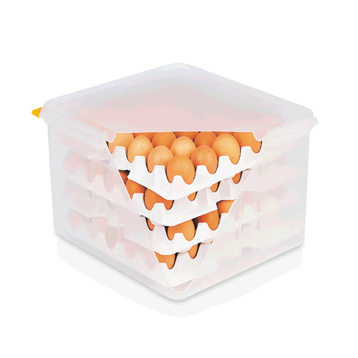 HACCP Eierbox GN 2/3, für 4 Einlagen je 30 Eier, Polypropylen, Polystyrol