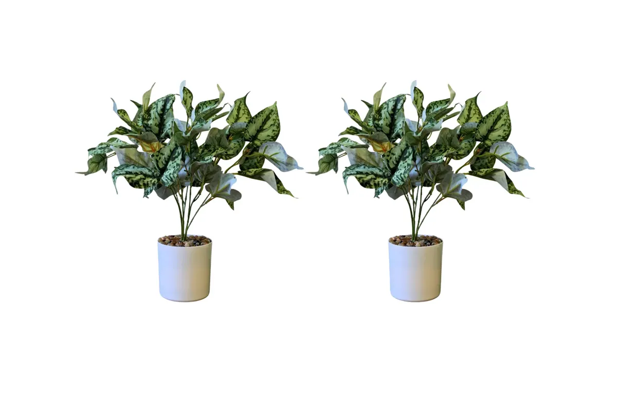 Kunstpflanze Kolbenfaden (Aglaonema) – 2er Set – 40 cm im Topf