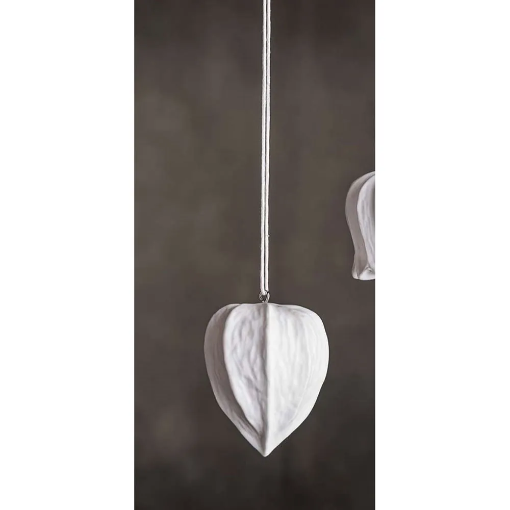 SEME Physalis