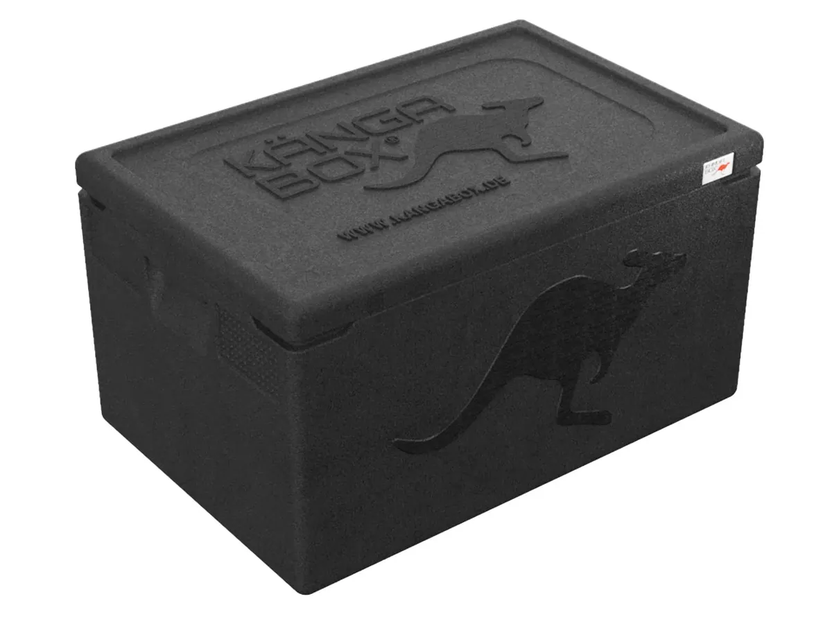 Professional Thermobox für GN 1/1 – Standardgriffe