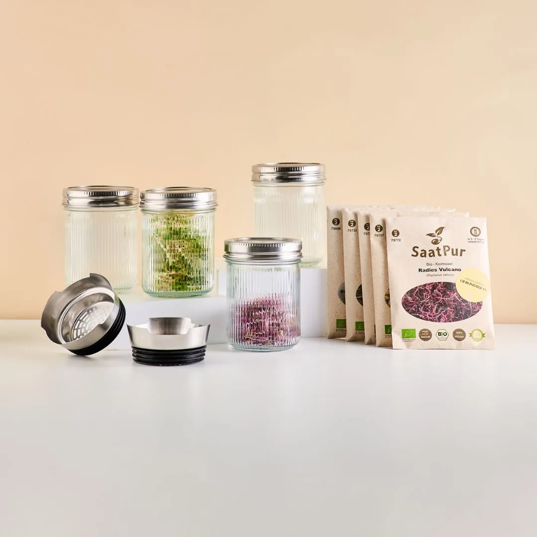 Sprossen Starter Set