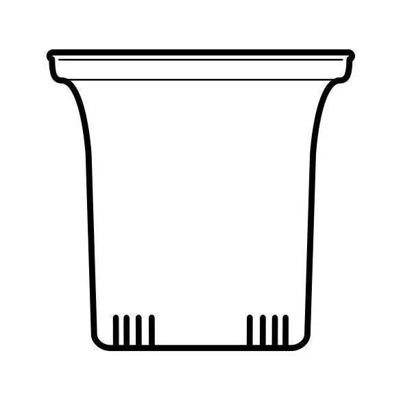Trendglas JENA Glasfilter klein