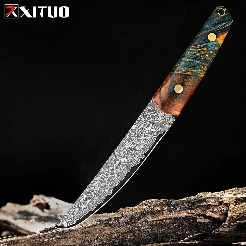 XITUO Damastmesser 5 Zoll - 67 Lagen mit Griff aus Holz