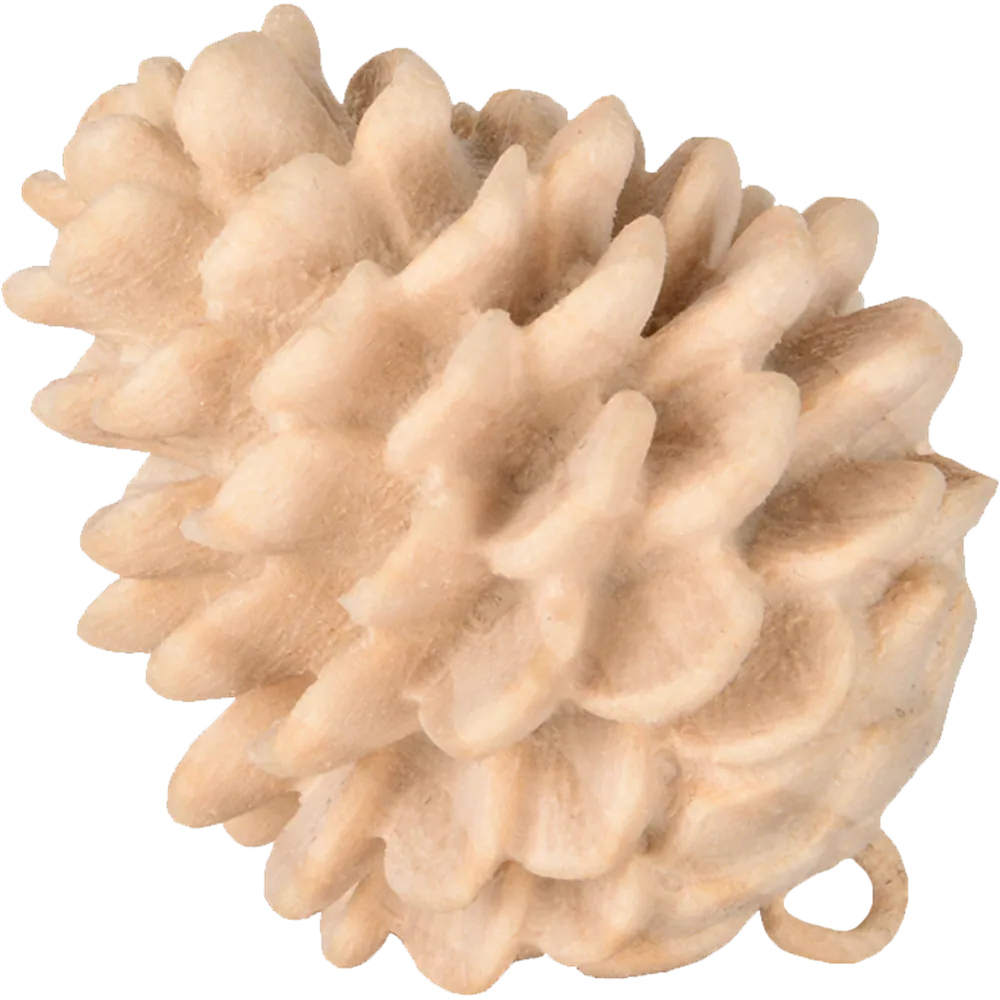 Zirm Alpin Latschenzapfen 4cm Zirbe